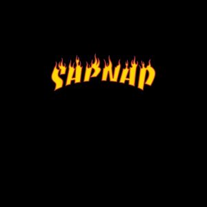artwork Offical Sapnap Merch