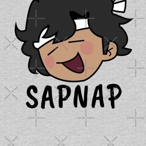 artwork Offical Sapnap2 Merch
